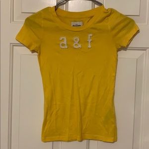 Abercrombie Kids Fitted Logo Tee